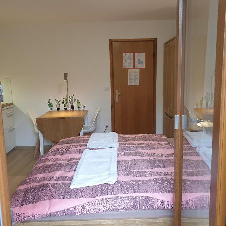 Apartmaji Pri Medvedu Studio Rudnica 보히니 외부 사진